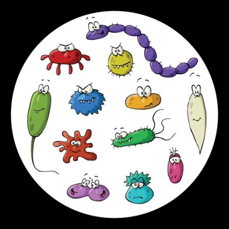 insecten, microscoop, slijm, virus Dedmazay - Dreamstime