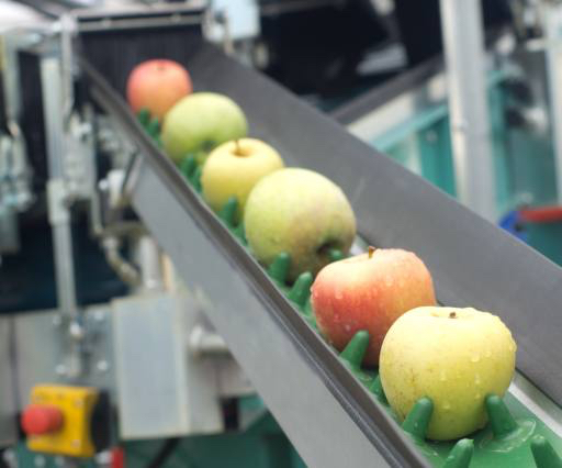 æbler, mad, maskine, fabrikken Jevtic