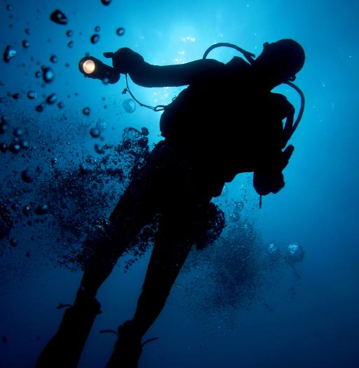 vand, mand, dykker, blå, lys, bobler Planctonvideo