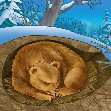 draag, de winter, slaap, koude, natuur Alexander Kukushkin - Dreamstime