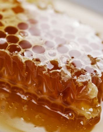bij, bijen, honing Liv Friis-larsen - Dreamstime