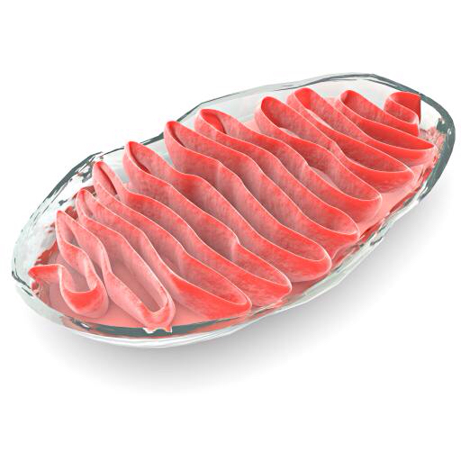 celle, cellulære, rød, kød, gelly, bakterier Vampy1