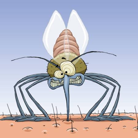 mug, dieren, haar, vliegen, familie, infectie, malaria Dedmazay - Dreamstime