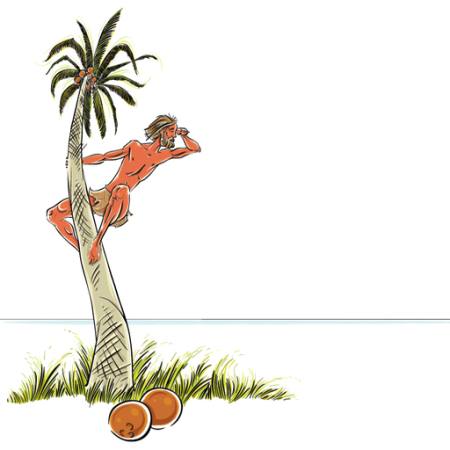 man, eiland, vastgelopen, kokos, palm, kijk, zee, oceaan Sylverarts - Dreamstime