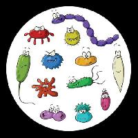 Pixwords Het beeld met insecten, microscoop, slijm, virus Dedmazay - Dreamstime