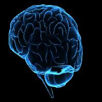Pixwords Het beeld met hoofd, man, vrouw, denken, hersenen Sebastian Kaulitzki - Dreamstime