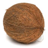 Pixwords Het beeld met kokosnoot, voedsel, sap, Niderlander - Dreamstime