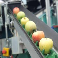 Pixwords Het beeld met æbler, mad, maskine, fabrikken Jevtic