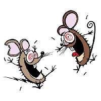 Pixwords Het beeld met muis, muizen, krankzinnig, gelukkig, twee Donald Purcell - Dreamstime