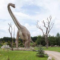 dinosaur, park, træ, træer, dyr Caesarone