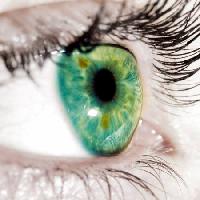 Pixwords Het beeld met groen, oogleden, oog Goran Turina - Dreamstime