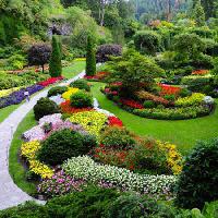 Pixwords Het beeld met tuin, bloemen, kleuren, groen Photo168 - Dreamstime