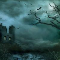 Pixwords Het beeld met nachts, mist, stof, bouw, vogels, boom, brances, kasteel, weg Debbie  Wilson - Dreamstime