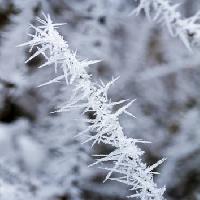 Pixwords Het beeld met vorst, ijs, de winter, spike Haraldmuc - Dreamstime