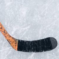 Pixwords Het beeld met stick, hockey, is, hvid, sort Volkovairina