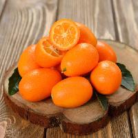 frugter, træ, plade, appelsin, appelsiner Olga Vasileva (Olyina)