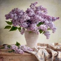 Pixwords Het beeld met bloemen, vaas, paars, tafel, doek Jolanta Brigere - Dreamstime
