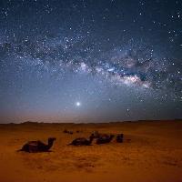 Pixwords Het beeld met himmel, nat, , ørken, kameler, stjerner, måne Valentin Armianu (Asterixvs)
