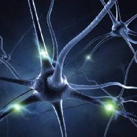 synaps, hoofd, neuron, aansluitingen Sashkinw - Dreamstime