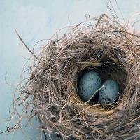 Pixwords Het beeld met nest, ei, vogel, blauw, huis, Antaratma Microstock Images © Elena Ray - Dreamstime