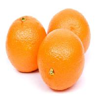 Pixwords Het beeld met fruit, eten, oranje Niderlander - Dreamstime