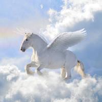 Pixwords Het beeld met paard, wolken, vlieg, vleugels Viktoria Makarova - Dreamstime