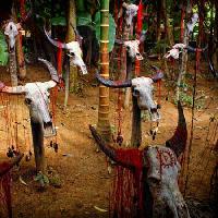 Pixwords Het beeld met hoofd, hoofden, schedel, schedels, bloed, bomen, dieren Victor Zastol`skiy - Dreamstime