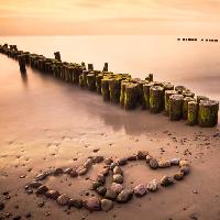 Pixwords Het beeld met vand, hjerte, hjerter, sten, træ, sand, strand Manuela Szymaniak (Manu10319)