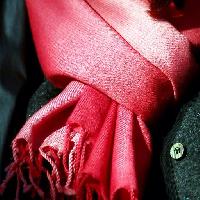 Pixwords Het beeld met rød, klæde, klæder, tørklæde, knap Clarita