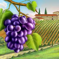 Pixwords Het beeld met druiven, tuin, groen, blad, wijnstok, boerderij Andreus - Dreamstime