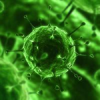 Pixwords Het beeld met bacteriën, virussen, insecten, ziekte, cell Sebastian Kaulitzki - Dreamstime